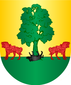 ESCUDO SIGUIENTE